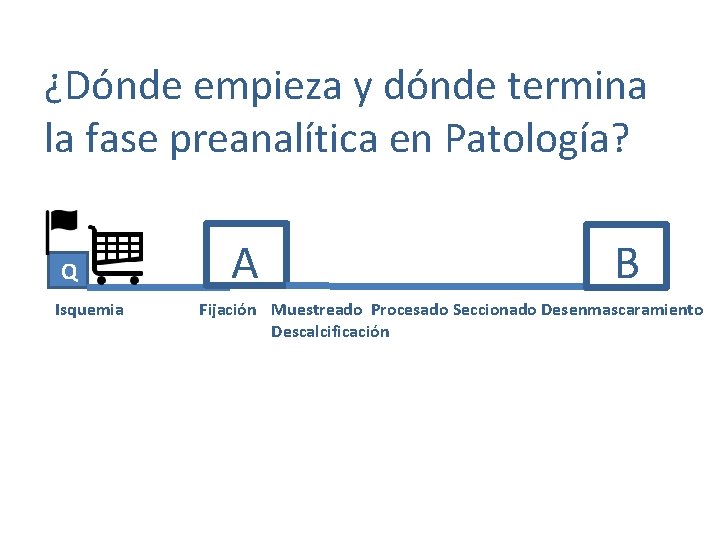 ¿Dónde empieza y dónde termina la fase preanalítica en Patología? Q Isquemia A B