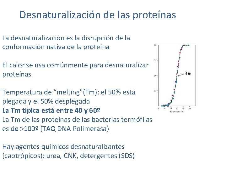 Desnaturalización de las proteínas La desnaturalización es la disrupción de la conformación nativa de