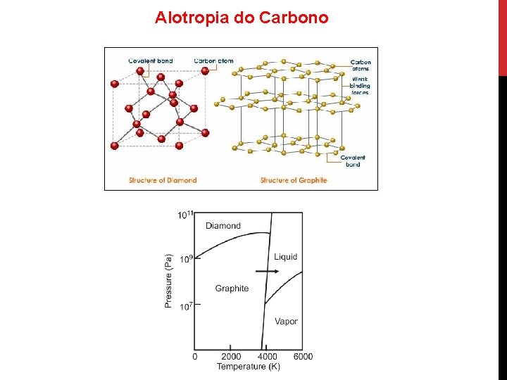 Alotropia do Carbono 