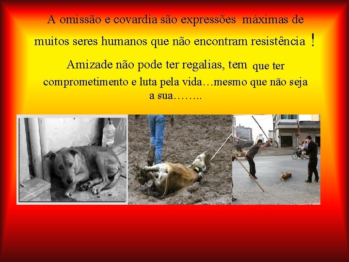 A omissão e covardia são expressões máximas de muitos seres humanos que não encontram