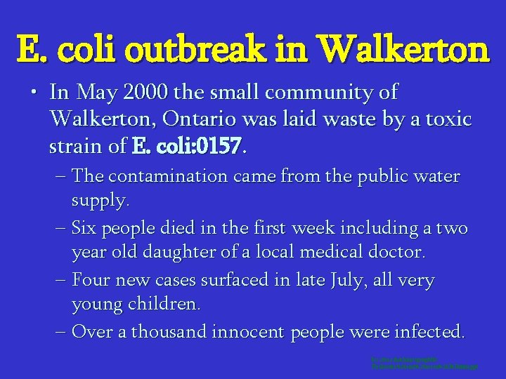 E. coli outbreak in Walkerton • In May 2000 the small community of Walkerton,