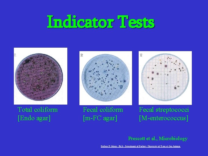 Indicator Tests Total coliform [Endo agar] Fecal coliform [m-FC agar] Fecal streptococci [M-enterococcus] Prescott