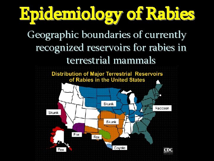 Epidemiology of Rabies Geographic boundaries of currently recognized reservoirs for rabies in terrestrial mammals