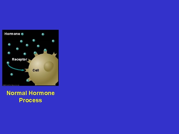 Hormone Estrogen- like chemical Antiandrogen chemical Receptor Cell Normal Hormone Process Normal Mimic Hormone