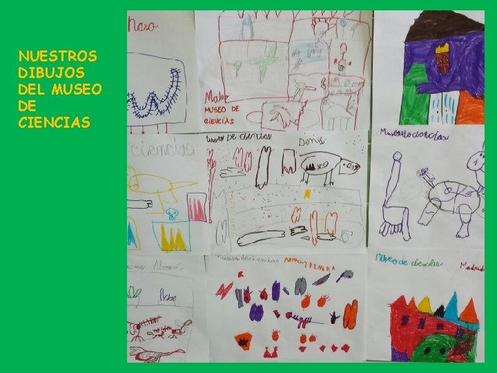 NUESTROS DIBUJOS DEL MUSEO DE CIENCIAS 