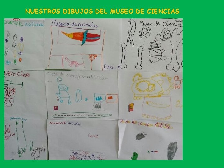 NUESTROS DIBUJOS DEL MUSEO DE CIENCIAS 