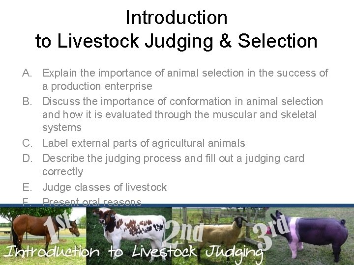 Introduction to Livestock Judging & Selection A. Explain the importance of animal selection in