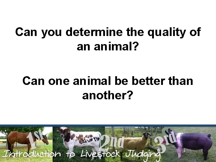 Can you determine the quality of an animal? Can one animal be better than