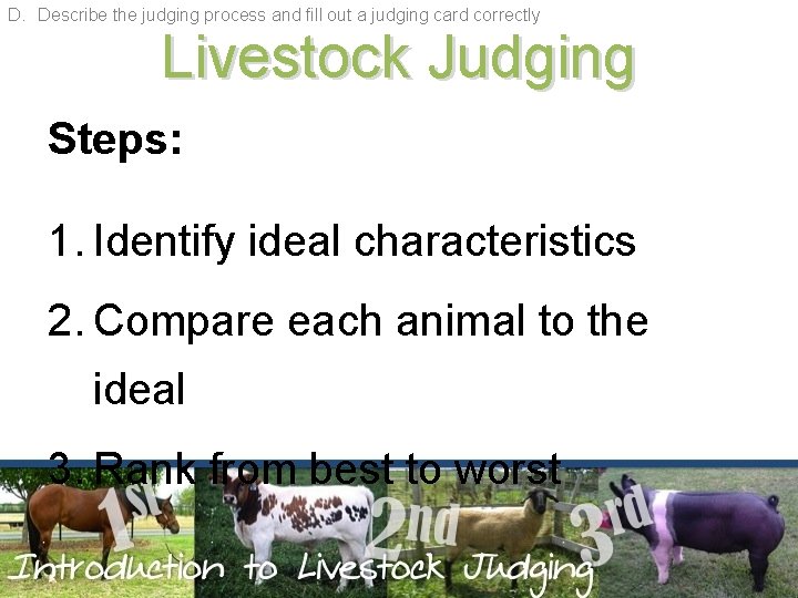 D. Describe the judging process and fill out a judging card correctly Livestock Judging