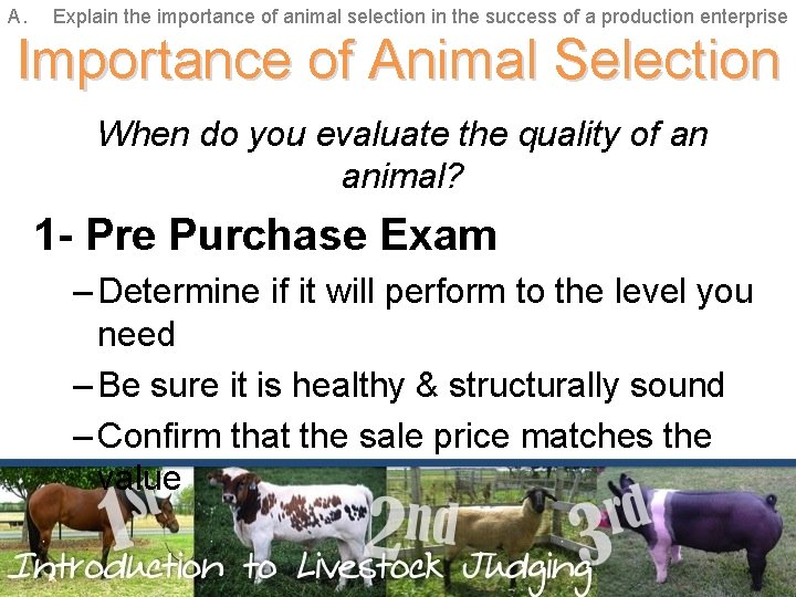 A. Explain the importance of animal selection in the success of a production enterprise