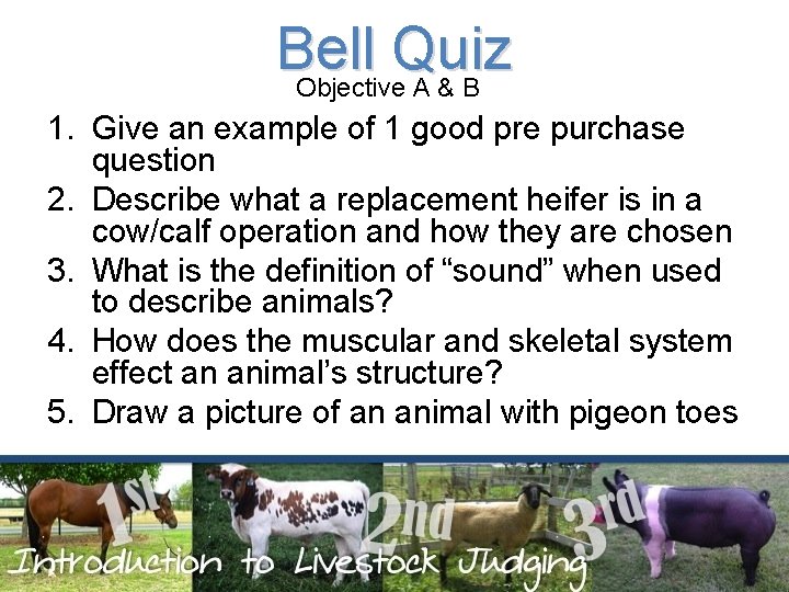 Bell Quiz Objective A & B 1. Give an example of 1 good pre