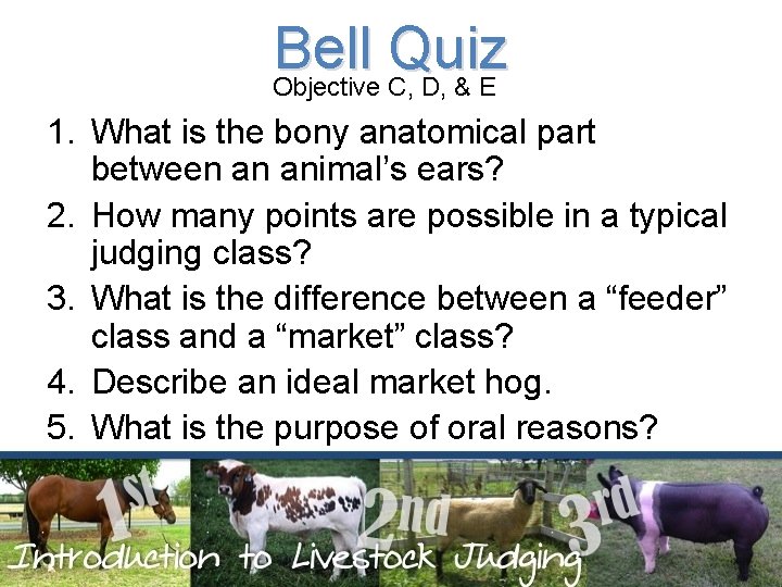 Bell Quiz Objective C, D, & E 1. What is the bony anatomical part