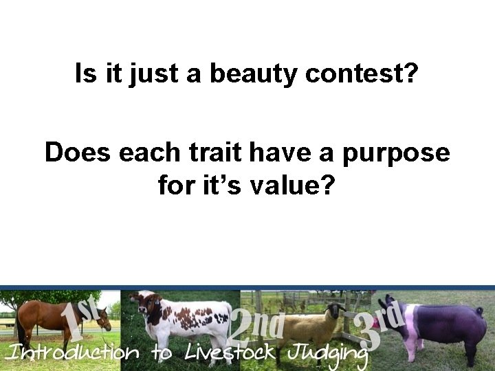 Is it just a beauty contest? Does each trait have a purpose for it’s