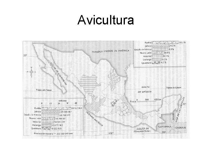 Avicultura 