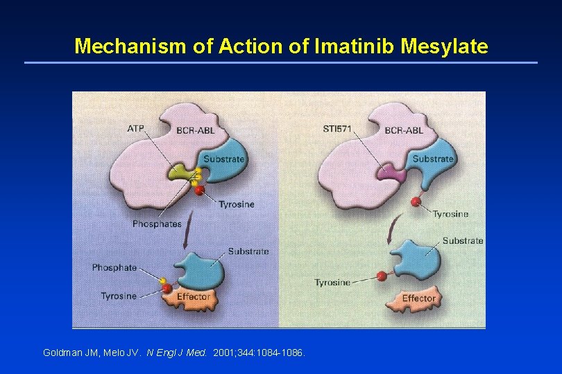 Mechanism of Action of Imatinib Mesylate Goldman JM, Melo JV. N Engl J Med.