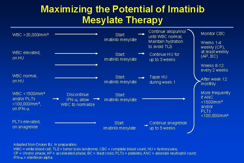 Maximizing the Potential of Imatinib Mesylate Therapy WBC >20, 000/mm 3 WBC elevated, on