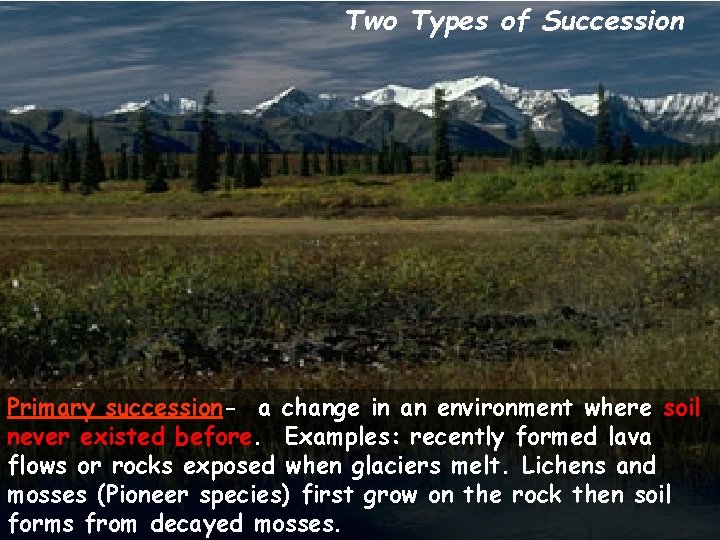 Two Types of Succession Primary succession- a change in an environment where soil never