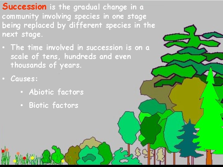 Succession is the gradual change in a community involving species in one stage being
