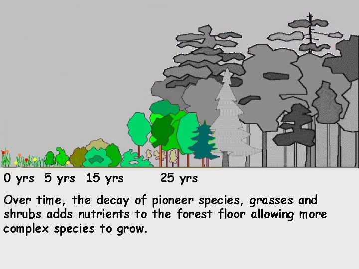 0 yrs 5 yrs 15 yrs 25 yrs Over time, the decay of pioneer