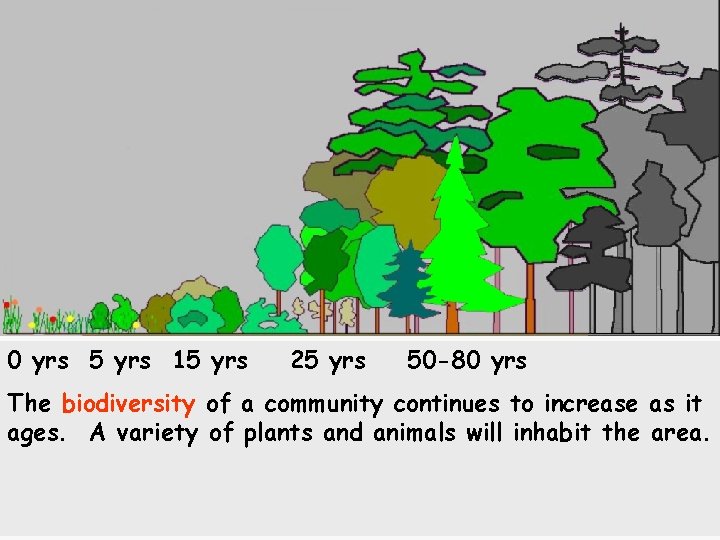 0 yrs 5 yrs 15 yrs 25 yrs 50 -80 yrs The biodiversity of