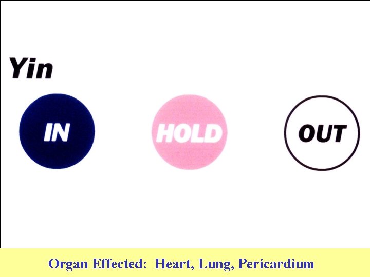 Organ Effected: Heart, Lung, Pericardium 