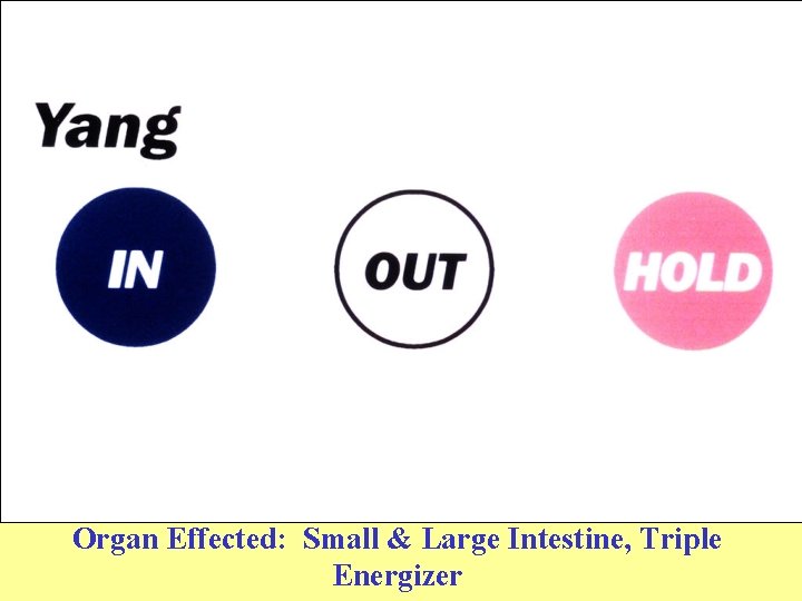 Organ Effected: Small & Large Intestine, Triple Energizer 