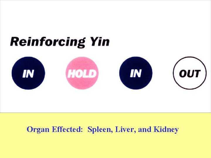 Organ Effected: Spleen, Liver, and Kidney 