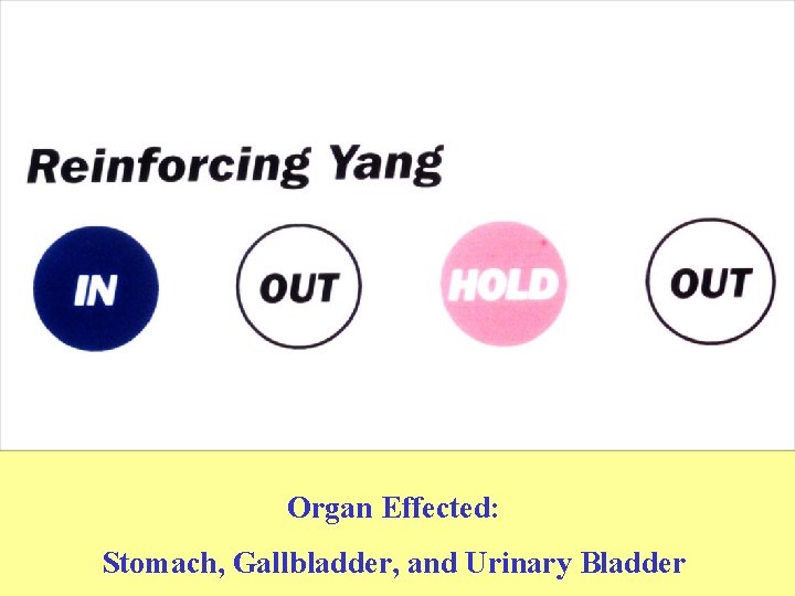 Organ Effected: Stomach, Gallbladder, and Urinary Bladder 