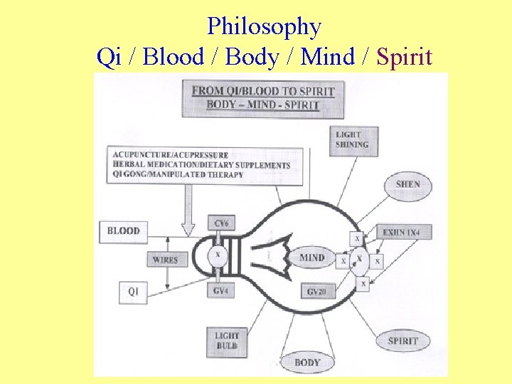 Philosophy Qi / Blood / Body / Mind / Spirit 