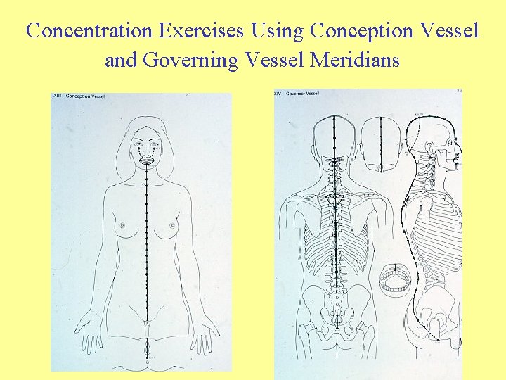 Concentration Exercises Using Conception Vessel and Governing Vessel Meridians 