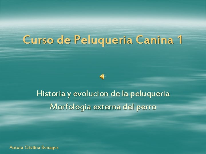 Curso de Peluqueria Canina 1 Historia y evolucion de la peluqueria Morfologia externa del