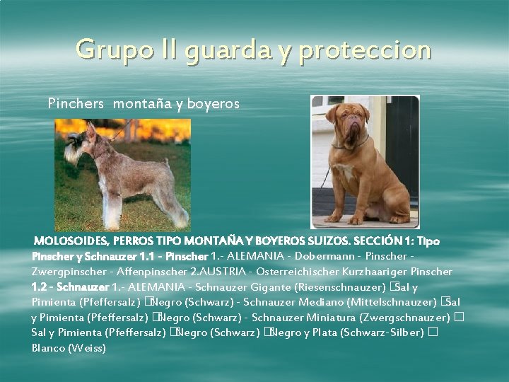 Grupo II guarda y proteccion Pinchers montaña y boyeros MOLOSOIDES, PERROS TIPO MONTAÑA Y