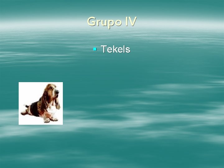 Grupo IV § Tekels 