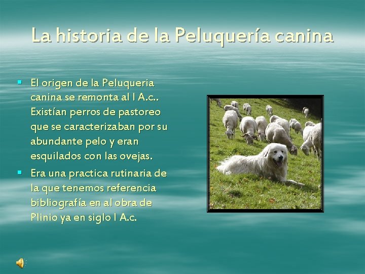 La historia de la Peluquería canina § El origen de la Peluqueria canina se