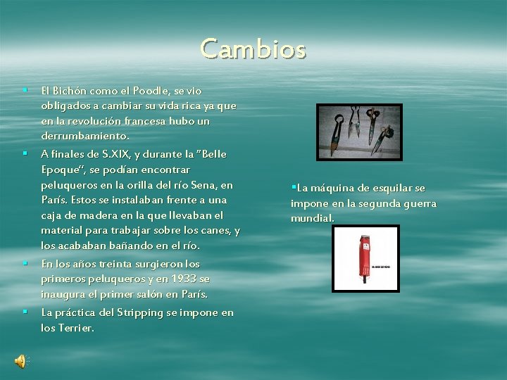 Cambios § El Bichón como el Poodle, se vio obligados a cambiar su vida