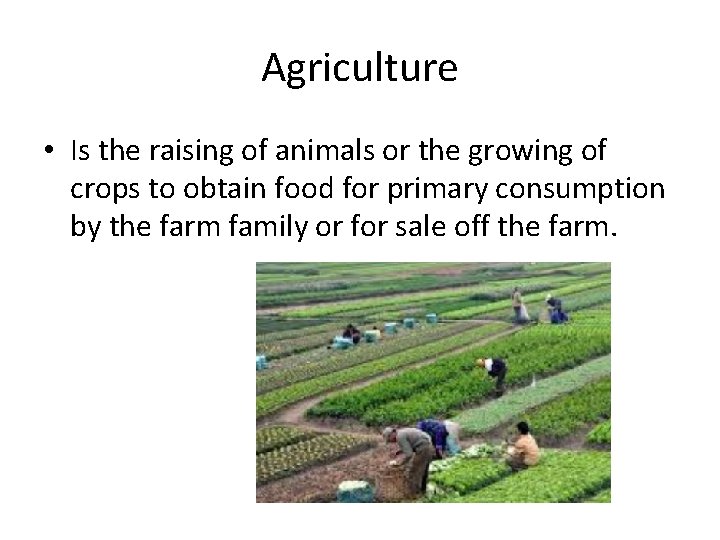 Agriculture • Is the raising of animals or the growing of crops to obtain