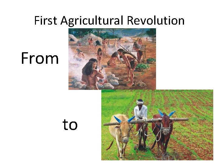 First Agricultural Revolution From to 