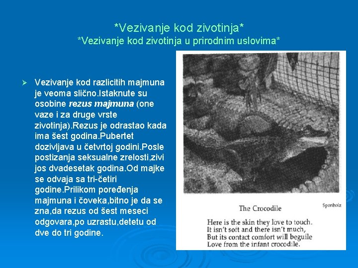 *Vezivanje kod zivotinja* *Vezivanje kod zivotinja u prirodnim uslovima* Ø Vezivanje kod razlicitih majmuna