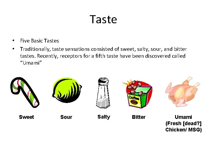 Taste • Five Basic Tastes • Traditionally, taste sensations consisted of sweet, salty, sour,