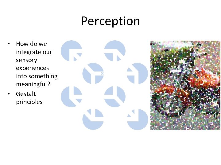 Perception • How do we integrate our sensory experiences into something meaningful? • Gestalt