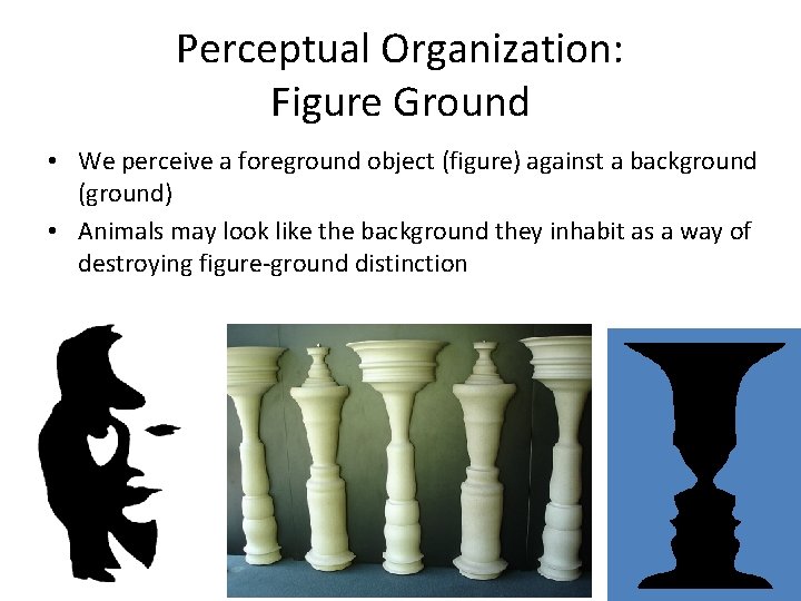 Perceptual Organization: Figure Ground • We perceive a foreground object (figure) against a background