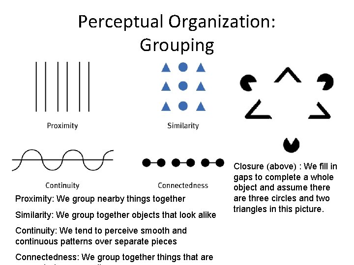 Perceptual Organization: Grouping Proximity: We group nearby things together Similarity: We group together objects