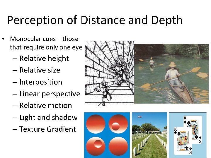Perception of Distance and Depth • Monocular cues – those that require only one
