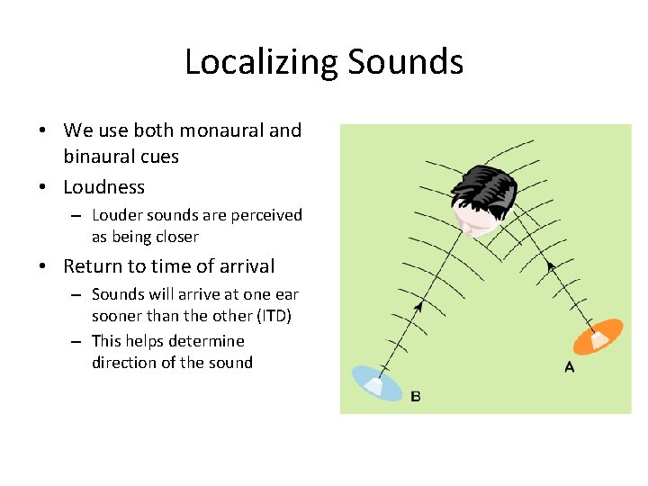 Localizing Sounds • We use both monaural and binaural cues • Loudness – Louder