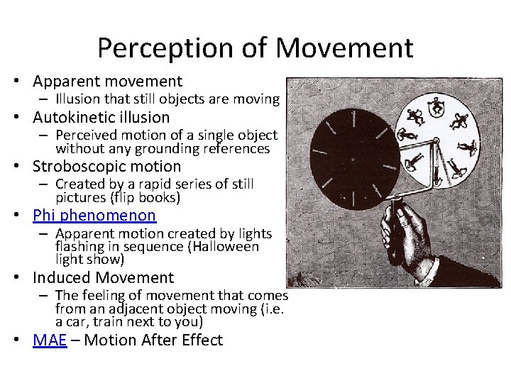 Perception of Movement • Apparent movement – Illusion that still objects are moving •