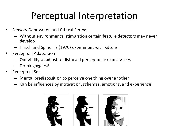 Perceptual Interpretation • Sensory Deprivation and Critical Periods – Without environmental stimulation certain feature