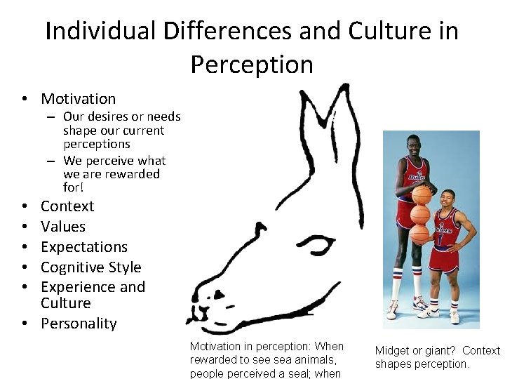 Individual Differences and Culture in Perception • Motivation – Our desires or needs shape