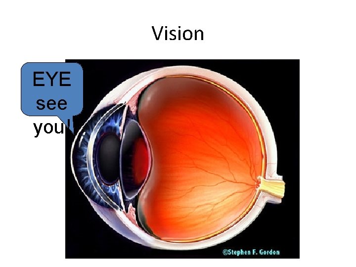 Vision EYE see you! 