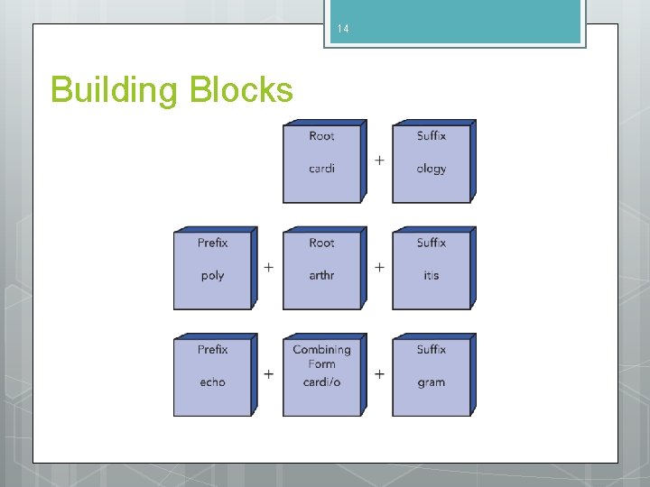 14 Building Blocks 