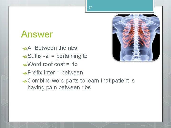 27 Answer A. Between the ribs Suffix -al = pertaining to Word root cost